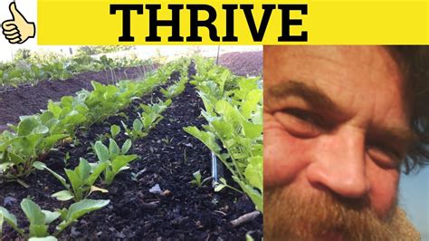 thrive in tagalog|thriving in English .